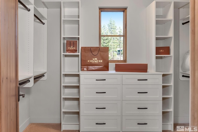 249 Mill Race Lp, Carson City, NV 89705 - photo 18