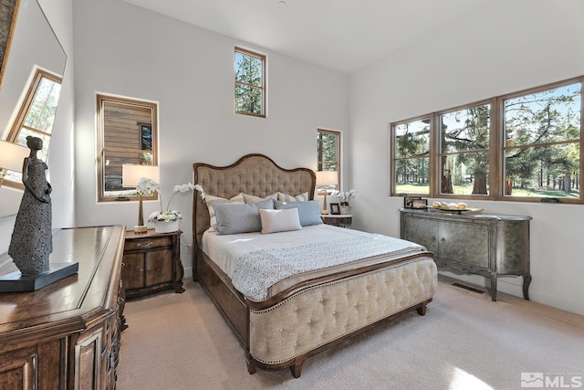 249 Mill Race Lp, Carson City, NV 89705 - photo 19