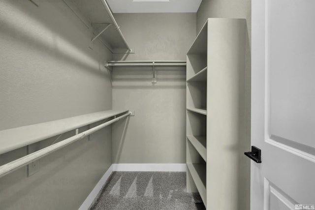 1791 La Cita, Minden, NV 89423 - spacious closet with dark colored carpet