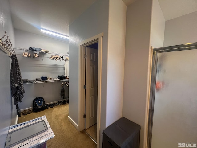 1090 Aster Ln, Fernley, NV 89408 - spacious closet with carpet flooring