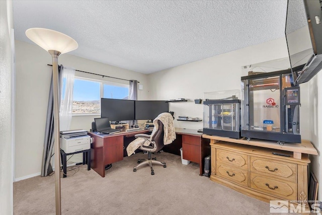 5025 Jackrabbit Rd, Reno, NV 89510 - photo 26