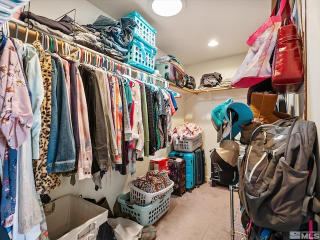 4259 Rancheria Rd, Fallon, NV 89406 - spacious closet with carpet flooring