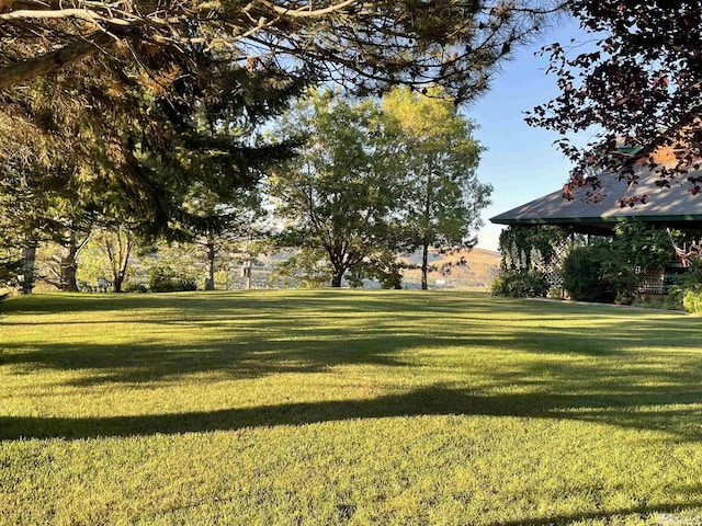 3380 Mario Rd, Reno, NV 89523 - photo 8