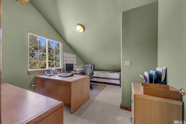 3380 Mario Rd, Reno, NV 89523 - photo 35