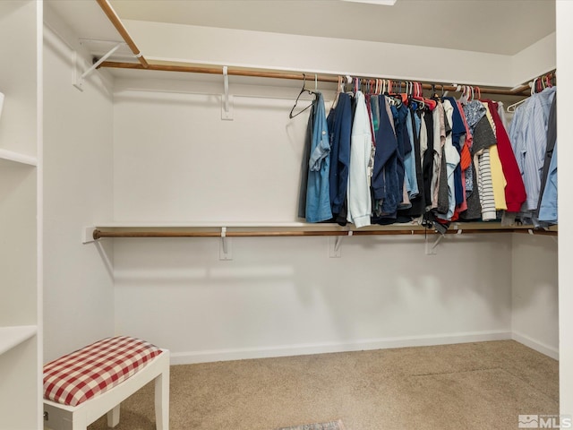 1129 Dixie Ln, Fernley, NV 89408 - photo 16