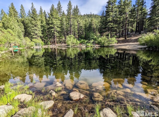 205 Scotch Pine Rd, Reno, NV 89511 - water view featuring a forest