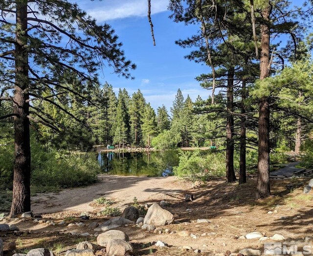 205 Scotch Pine Rd, Reno, NV 89511 - view of yard with a forest view