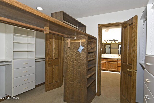 205 Scotch Pine Rd, Reno, NV 89511 - spacious closet featuring carpet floors