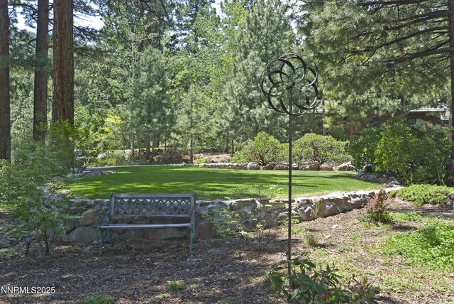 205 Scotch Pine Rd, Reno, NV 89511 - surrounding community with a yard