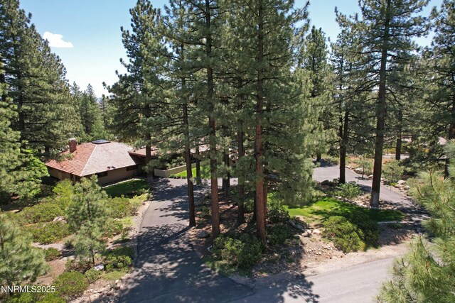 205 Scotch Pine Rd, Reno, NV 89511 - view of asphalt road with a forest view