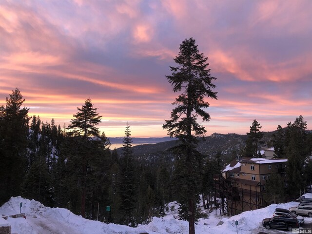 495 Tramway Unit 14, Stateline, NV 89449