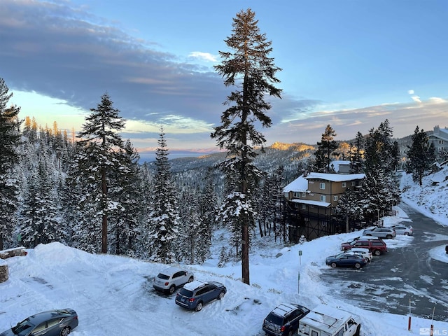 495 Tramway Unit 14, Stateline, NV 89449