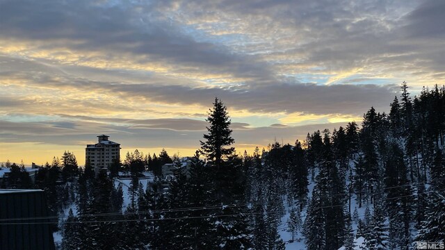 495 Tramway Unit 14, Stateline, NV 89449