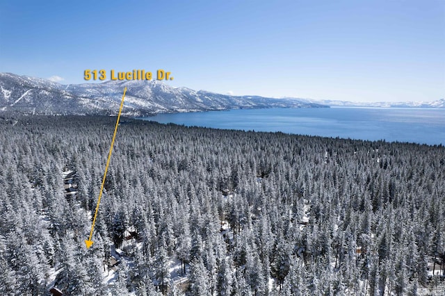 513 Lucille Dr, Incline Village, NV 89451 - view of mountain backdrop with a forest and a large body of water