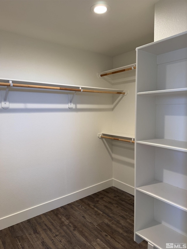 794 Megan Way, Fallon, NV 89406 - spacious closet with dark wood-style flooring
