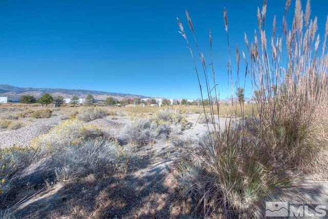 0 Double Diamond, Reno, NV 89521 - photo 13