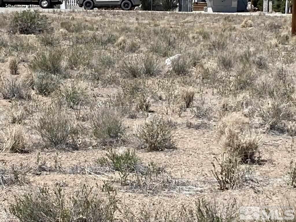 100 Nadel Ln, Yerington, NV 89447 - photo 2