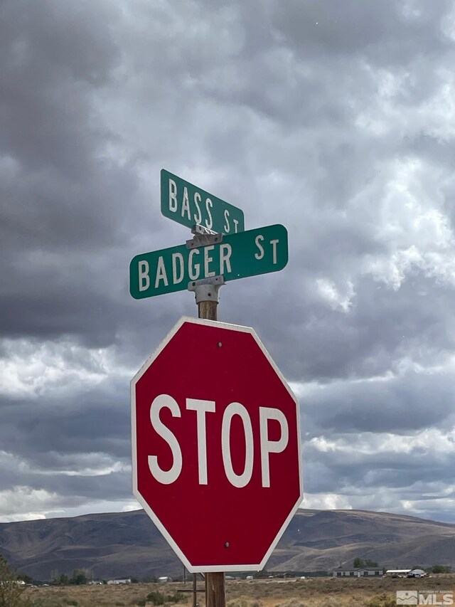 1840 E Badger, Silver Springs, NV 89429 - photo 1