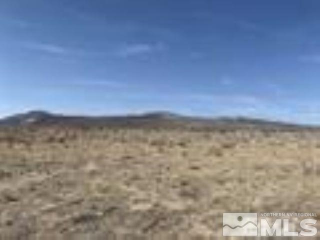 1840 E Badger, Silver Springs, NV 89429 - photo 6