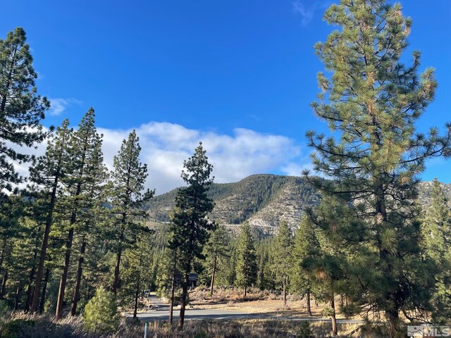 160 Walton Toll Rd, Carson City, NV 89705