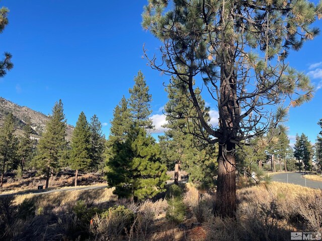160 Walton Toll Rd, Carson City, NV 89705