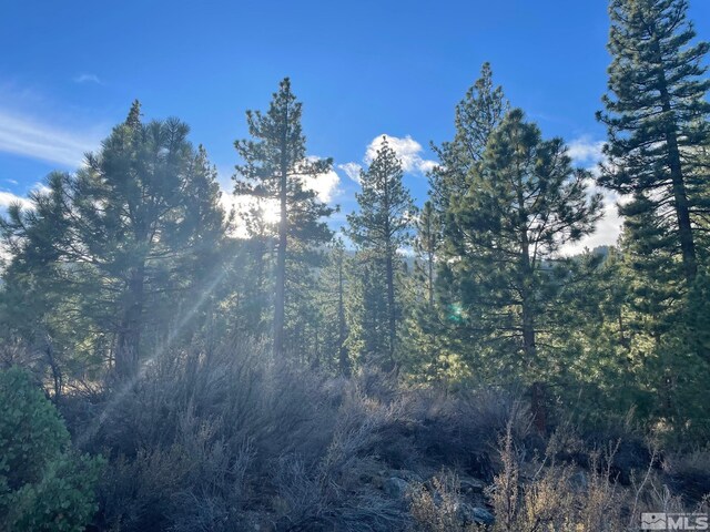 160 Walton Toll Rd, Carson City, NV 89705