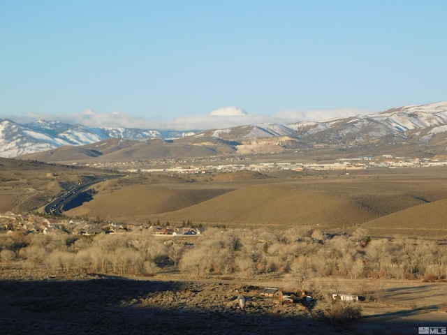 00610106 Schaad, Dayton, NV 89403 - photo 4