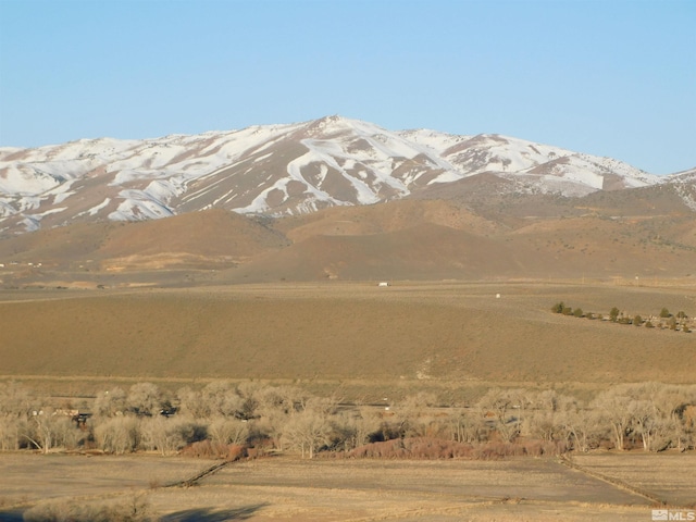 00610106 Schaad, Dayton, NV 89403 - photo 5