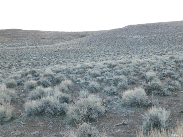 00610106 Schaad, Dayton, NV 89403 - photo 8