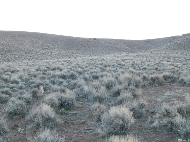00610106 Schaad, Dayton, NV 89403 - photo 9