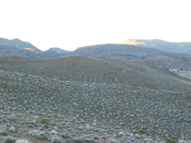 00610106 Schaad, Dayton, NV 89403 - photo 10