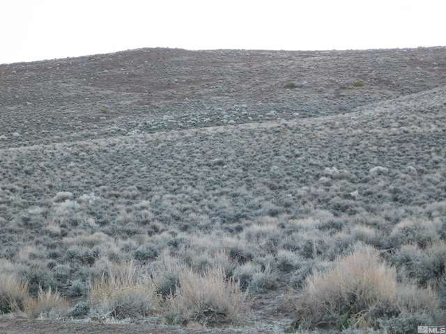 00610106 Schaad, Dayton, NV 89403 - photo 11