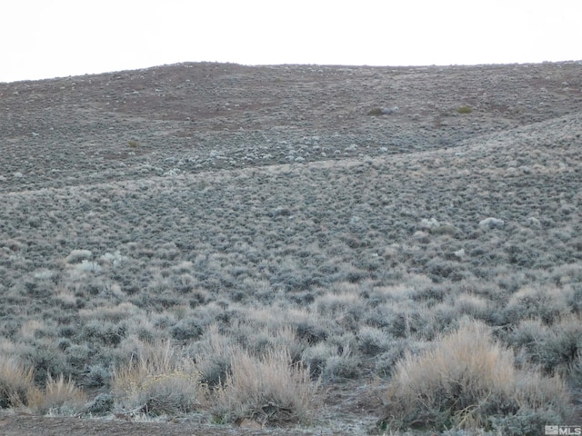 00610106 Schaad, Dayton, NV 89403 - photo 12