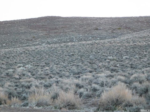 00610106 Schaad, Dayton, NV 89403 - photo 13