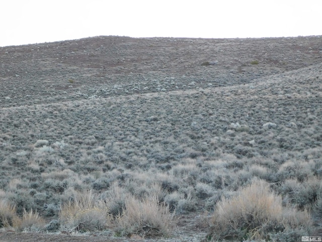00610106 Schaad, Dayton, NV 89403 - photo 14