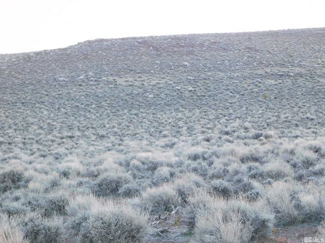 00610106 Schaad, Dayton, NV 89403 - photo 15