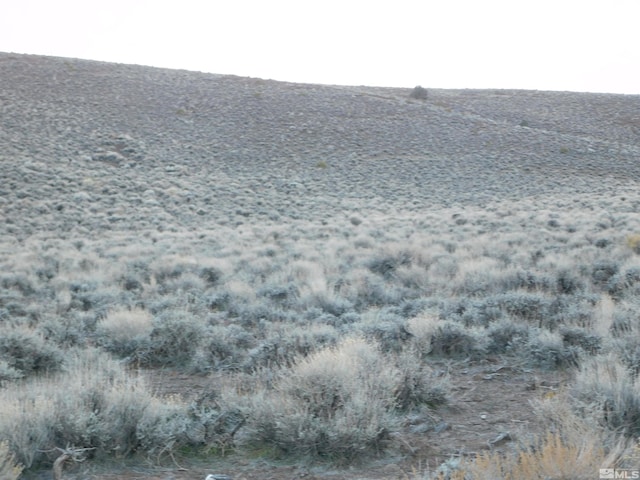 00610106 Schaad, Dayton, NV 89403 - photo 16