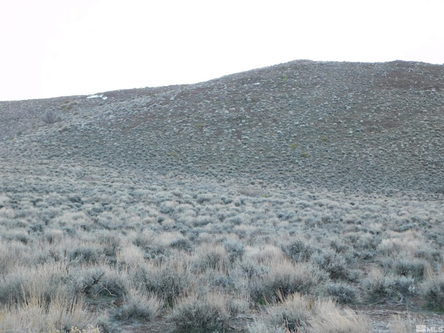 00610106 Schaad, Dayton, NV 89403 - photo 17