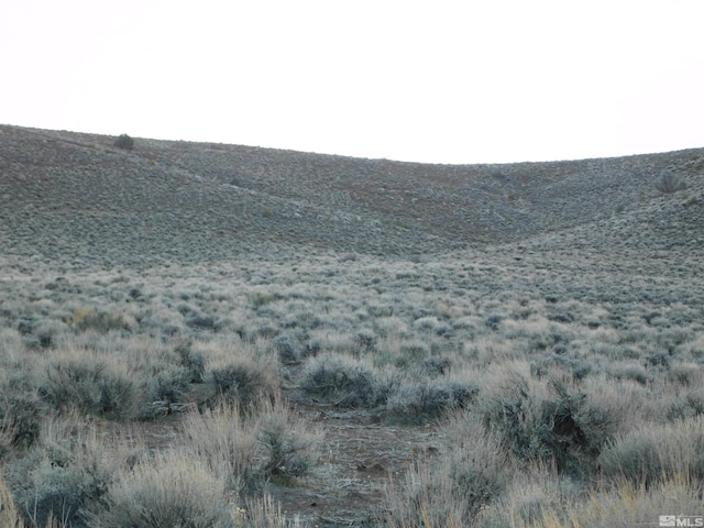00610106 Schaad, Dayton, NV 89403 - photo 18