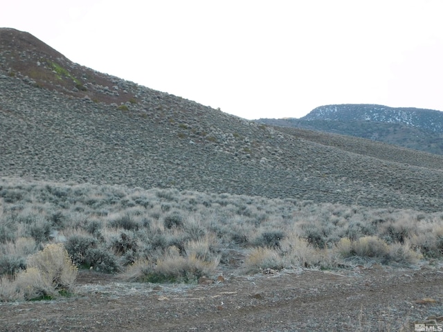 00610106 Schaad, Dayton, NV 89403 - photo 19