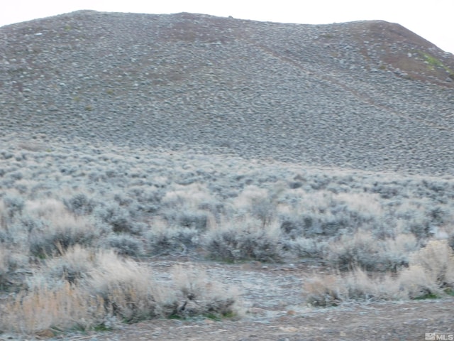 00610106 Schaad, Dayton, NV 89403 - photo 20