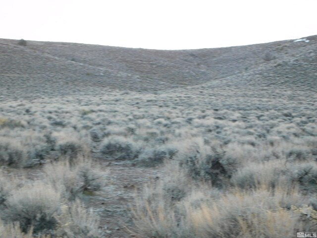 00610106 Schaad, Dayton, NV 89403 - photo 21