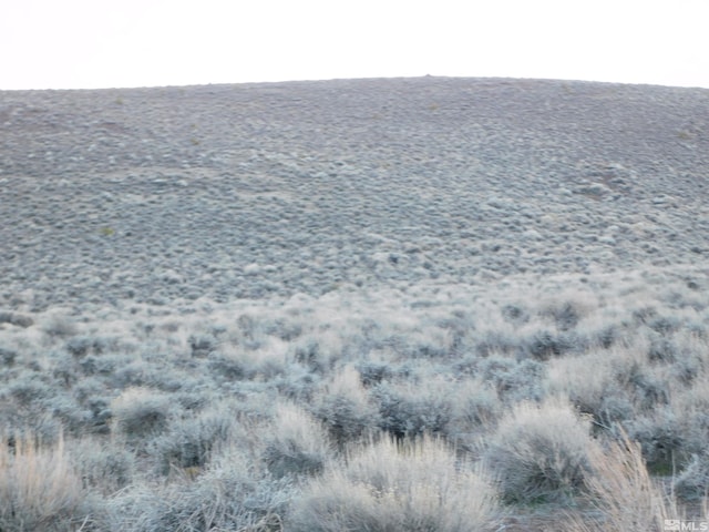 00610106 Schaad, Dayton, NV 89403 - photo 22