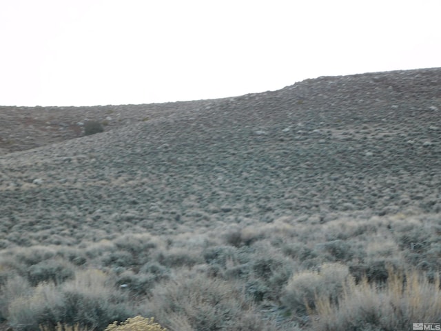 00610106 Schaad, Dayton, NV 89403 - photo 23