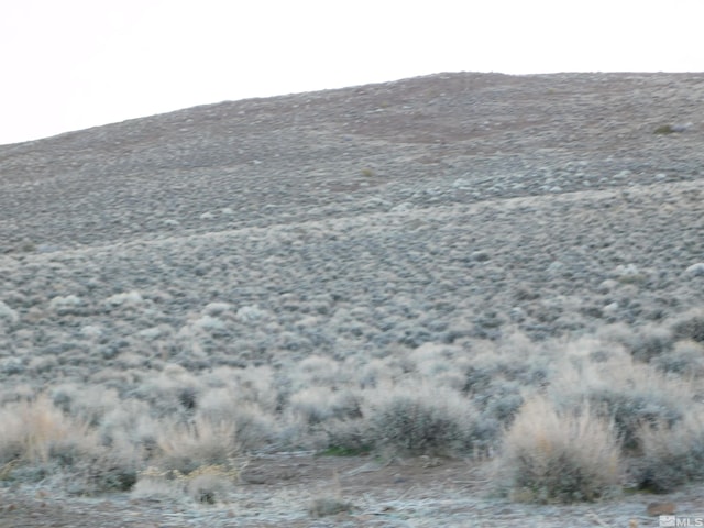 00610106 Schaad, Dayton, NV 89403 - photo 24