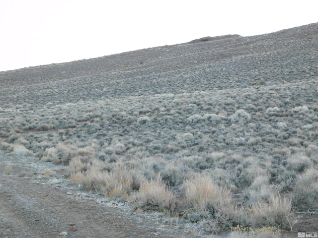 00610106 Schaad, Dayton, NV 89403 - photo 26
