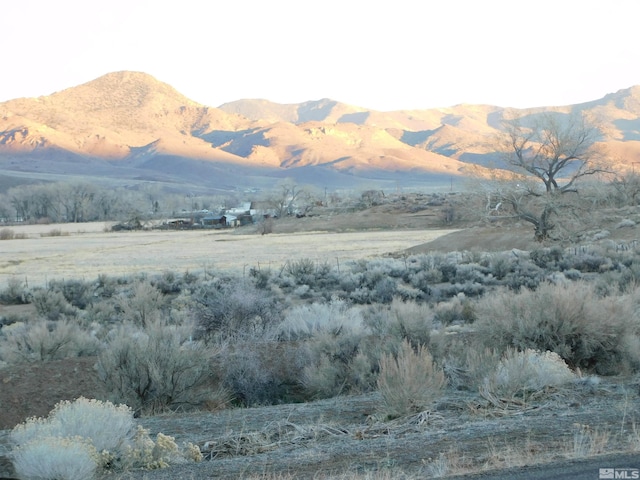 00610106 Schaad, Dayton, NV 89403 - photo 27