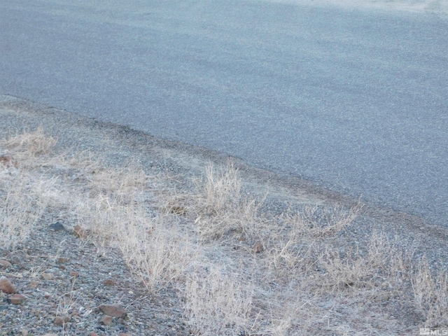 00610106 Schaad, Dayton, NV 89403 - photo 28