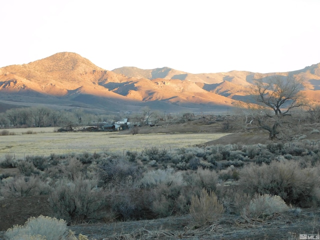 00610106 Schaad, Dayton, NV 89403 - photo 31