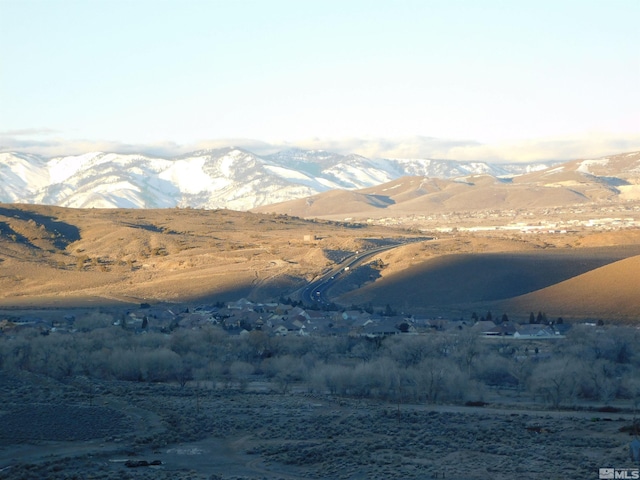 00610106 Schaad, Dayton, NV 89403 - photo 34